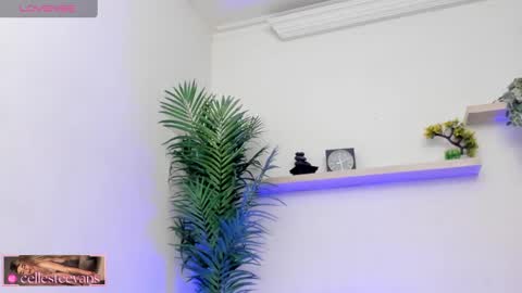 Snapshot of cellesteevans chatting on 03-12-25, 07:28 Celeste online show from 03-12-25, 07:28