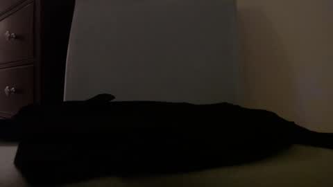 Snapshot of centerfield24 chatting on 01-14-25, 07:17 Centerfield online show from 01-14-25, 07:17