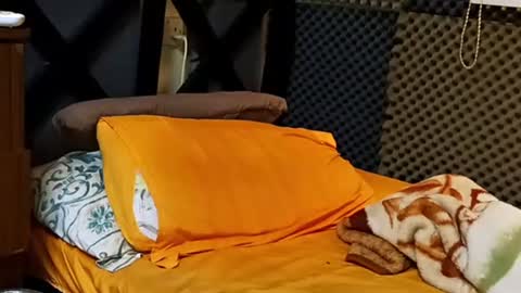 cezar online show from 09-18-25, 02:19