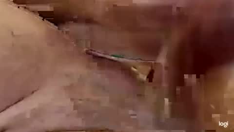 Snapshot of cfnmkinky28 chatting on 01-01-25, 04:07 cfnmkinky28 online show from 01-01-25, 04:07