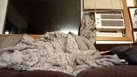 Chad420247 online show from 02-11-26, 12:37