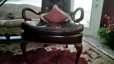 chad online show from 12-03-24, 07:11