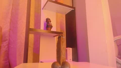 Snapshot of chantall_valkoba chatting on 01-07-25, 04:39 Chantall online show from 01-07-25, 04:39