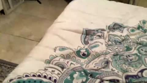 charliebroun online show from 02-18-25, 06:15