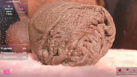 Char online show from 03-10-25, 01:01