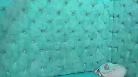 charlottestuart_ online show from 03-13-26, 04:24