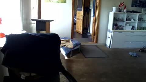 chefben666 online show from 04-12-26, 09:25