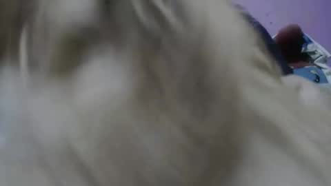 Cheila online show from 11-17-25, 02:23