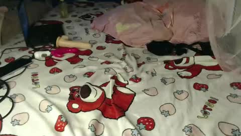 Cherry online show from 04-17-26, 04:54