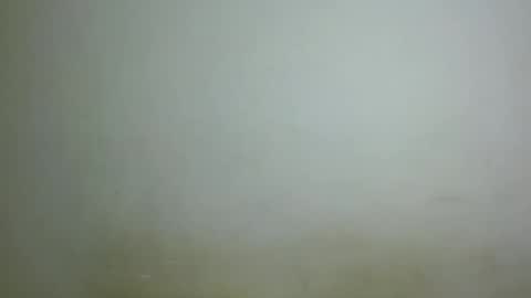 chocolatebony_ online show from 01-22-25, 10:05