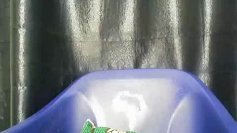 chocoslut22 online show from 12-14-25, 03:45