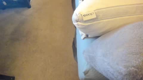 Snapshot of chris_martinson chatting on 02-27-25, 12:43 Chris Martinson XXX online show from 02-27-25, 12:43