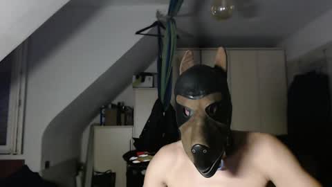 chrisdan_ online show from 11-01-25, 09:39