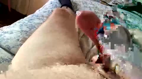 chrishornycocker online show from 11-18-25, 03:05