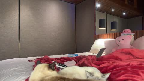 Snapshot of christinasage chatting on 09-18-25, 04:03 Christina Sage online show from 09-18-25, 04:03