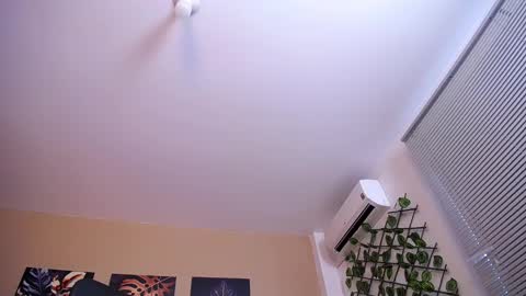 Snapshot of christopherblack_ chatting on 12-17-25, 01:06 Christopher Black online show from 12-17-25, 01:06