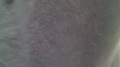 chubbycub14 online show from 02-07-26, 03:38