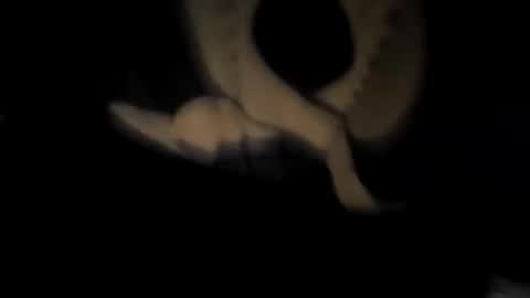 chuck7891 online show from 11-30-25, 12:47