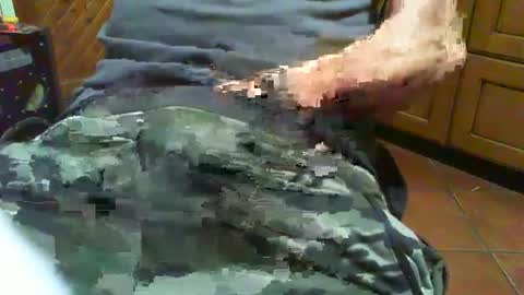 Snapshot of ciop1962 chatting on 12-02-24, 07:05 ciop1962 online show from 12-02-24, 07:05