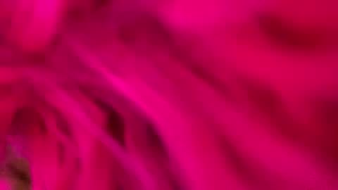 clarkshammer95 online show from 03-03-25, 09:26