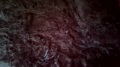 Snapshot of clydeninethousand chatting on 09-20-25, 04:52 clydeninethousand online show from 09-20-25, 04:52