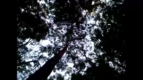 Snapshot of cmdwmd chatting on 01-26-25, 08:57 Matriarch Muse online show from 01-26-25, 08:57