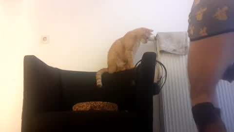 Snapshot of cockholder420 chatting on 11-23-25, 09:09 cockholder420 online show from 11-23-25, 09:09