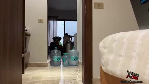 Snapshot of colbyknox chatting on 09-20-25, 11:06 colbyknox online show from 09-20-25, 11:06