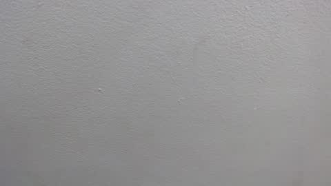  GRETCHEN  online show from 01-16-25, 12:31