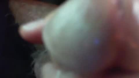 comox online show from 11-29-25, 05:21