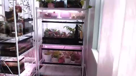 ANR Mommy online show from 11-14-25, 03:44