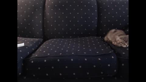 Snapshot of copper_crotch chatting on 12-19-25, 01:34 copper_crotch online show from 12-19-25, 01:34