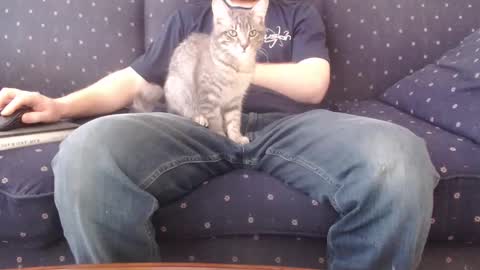 Snapshot of copper_crotch chatting on 02-14-26, 10:28 copper_crotch online show from 02-14-26, 10:28