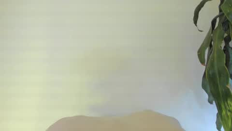 Coral princex online show from 02-24-26, 06:11