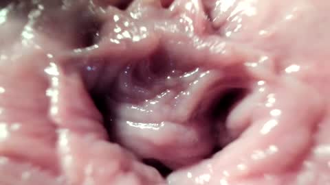 Im Courtney Nice to meet youFollow meInstagram courtneyluv778 online show from 01-22-25, 08:06