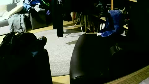 coyote017 online show from 01-27-25, 06:09