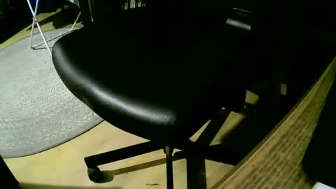 coyote017 online show from 02-25-25, 07:14