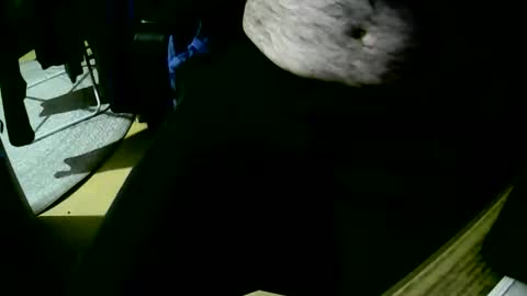 coyote017 online show from 10-22-25, 06:18