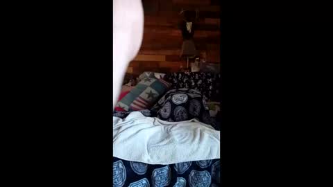 Snapshot of craig232301327629 chatting on 03-02-26, 02:24 craig232301327629 online show from 03-02-26, 02:24