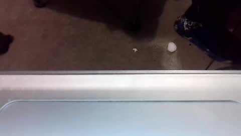 craveitoften online show from 01-31-25, 01:11