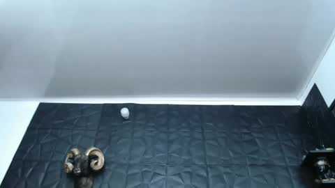 Snapshot of cristal_smith06 chatting on 02-27-25, 05:56 Hanna online show from 02-27-25, 05:56