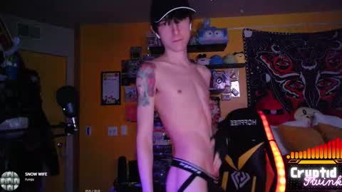 CryptidTwink online show from 02-19-26, 06:53