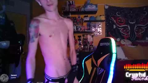 CryptidTwink online show from 03-15-26, 06:30