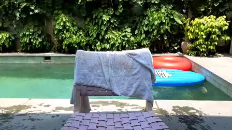 Lin inst lingoodyy online show from 02-25-25, 03:52