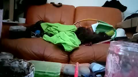 crystelweed online show from 11-09-25, 08:56