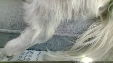 cumfestlover online show from 09-14-25, 11:26