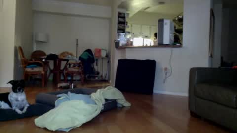 Snapshot of cumfiesta1 chatting on 01-01-25, 04:29 cumfiesta1 online show from 01-01-25, 04:29