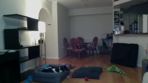 Snapshot of cumfiesta1 chatting on 02-02-25, 04:22 cumfiesta1 online show from 02-02-25, 04:22