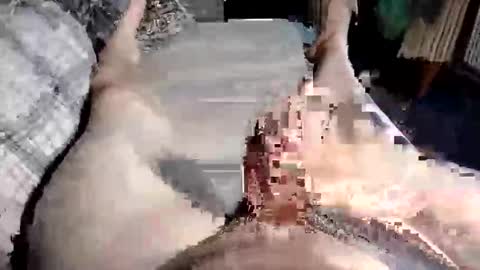 Paul online show from 10-10-25, 10:47