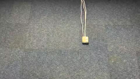 Brian online show from 12-03-25, 07:01